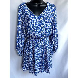 Vici Blue and White Floral Mini Dress